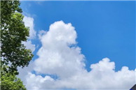 关于印发《湖南省零碳园区建设方案（暂行）》的通知