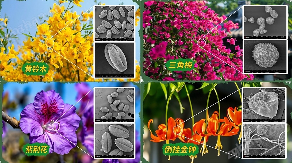SEM掃描電鏡斷裂失效分析